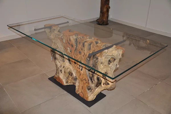 coffee table with olive tree root glass