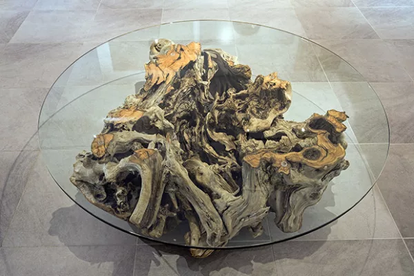 coffee table with olive tree root glass