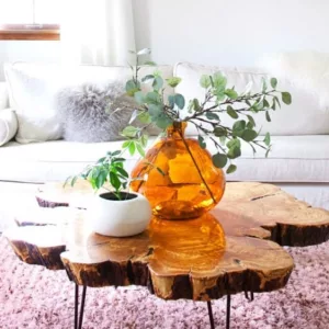 coffee table made of a transverse slab of olive wood